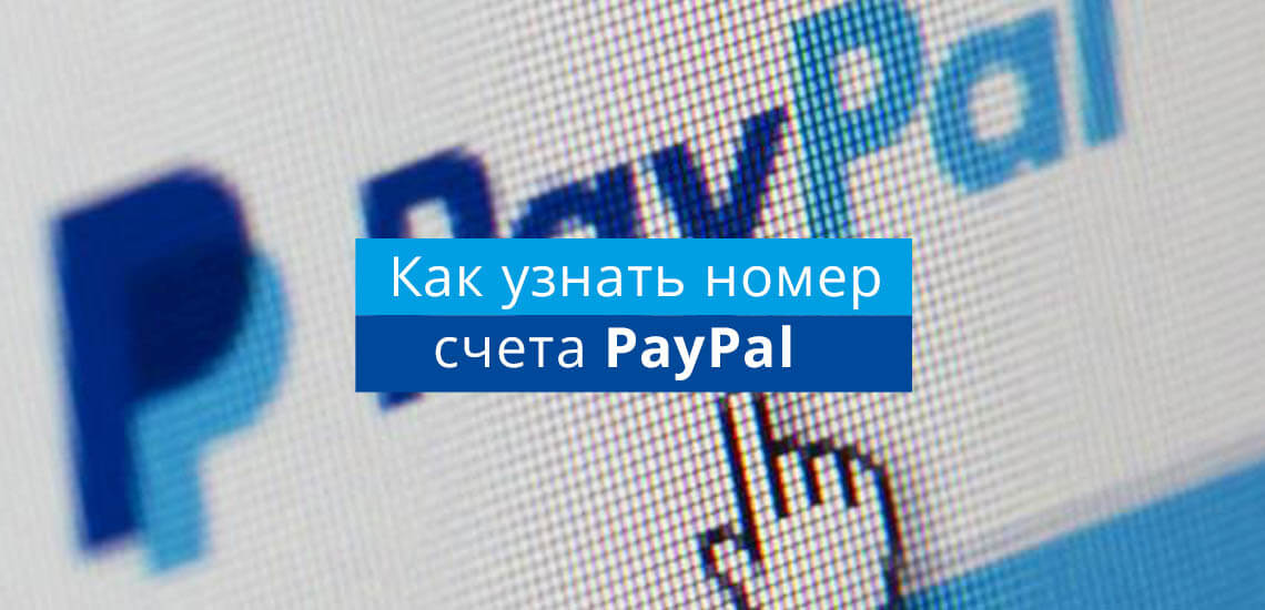 Как узнать номер своего счета в paypal