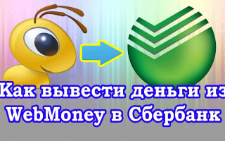 Как вывести деньги с WebMoney