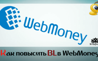 Бонусы webmoney, заработок, бизнес на дому