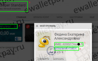 Как работает Вебмани кошелек в России