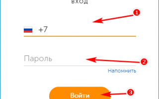 Как вывести деньги с PayPal на Qiwi